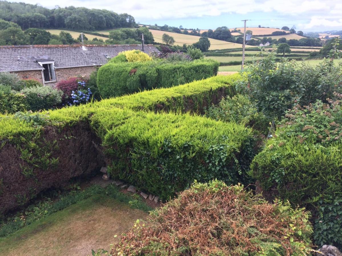 The Grange Accommodation, Waye Farm, Ermington, Devon Holbeton Extérieur photo